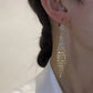 🎁 🌟Rhinestone Zircon Tassel øreringe🌟