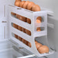 🔥HOT SALE🔥Multifunktions 4-lags Tilted Design Slide Egg Storage Box