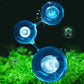 【Algekongen】Crazy Aquatic Weed Algefjerner