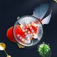 【Algekongen】Crazy Aquatic Weed Algefjerner
