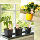 Fugleformet gennemsigtig plantevanddispenser