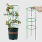 Aftageligt plantestativ med støttepæle til planter, blomster og frugter