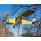 HOT SALE 50% OFF - Flyvemaskine vindspinner flyvemaskine pinwheel