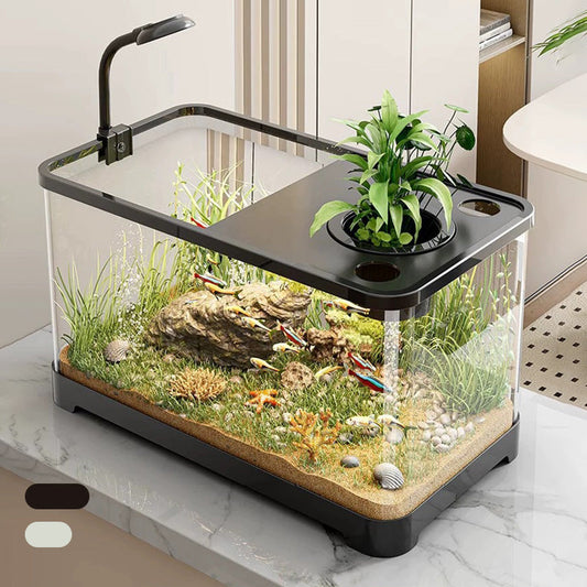 Lille akvarium til hjemmet