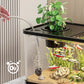 Lille akvarium til hjemmet