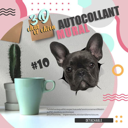 3D aftagelige vægklistermærker med katte og hunde