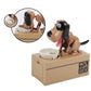 Hunde sparegris